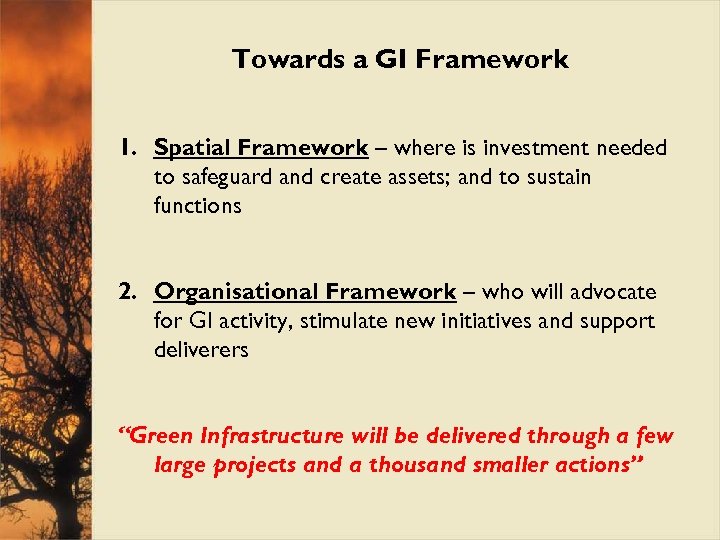 Towards a GI Framework 1. Spatial Framework – where is investment needed to safeguard