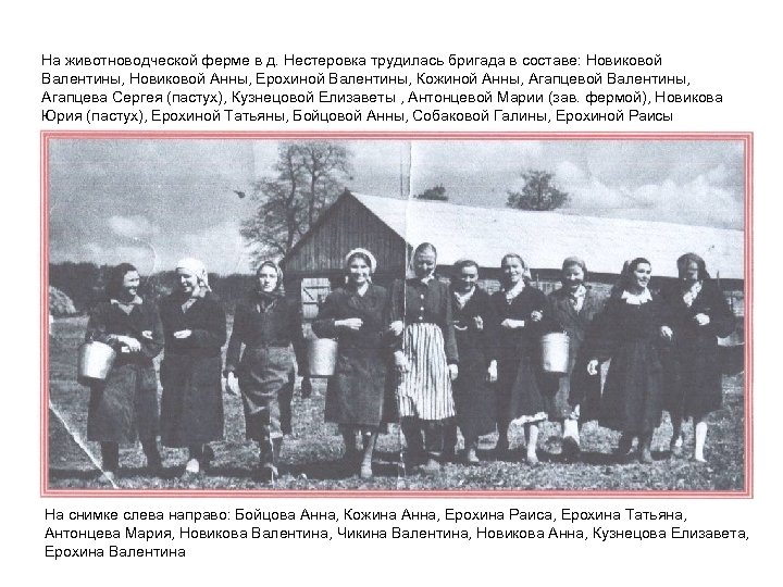 На животноводческой ферме в д. Нестеровка трудилась бригада в составе: Новиковой Валентины, Новиковой Анны,
