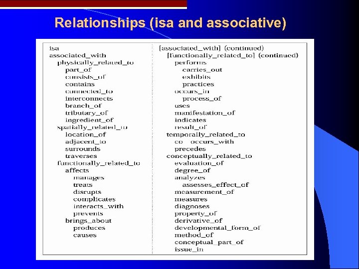 Relationships (isa and associative) 