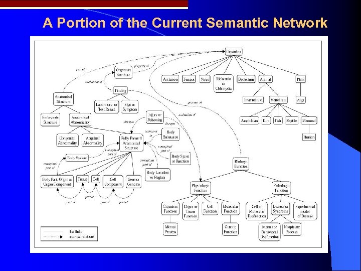 A Portion of the Current Semantic Network 