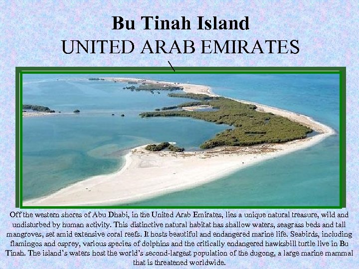 Bu Tinah Island Nature New seven wonders of UNITED ARAB EMIRATES www. new 7