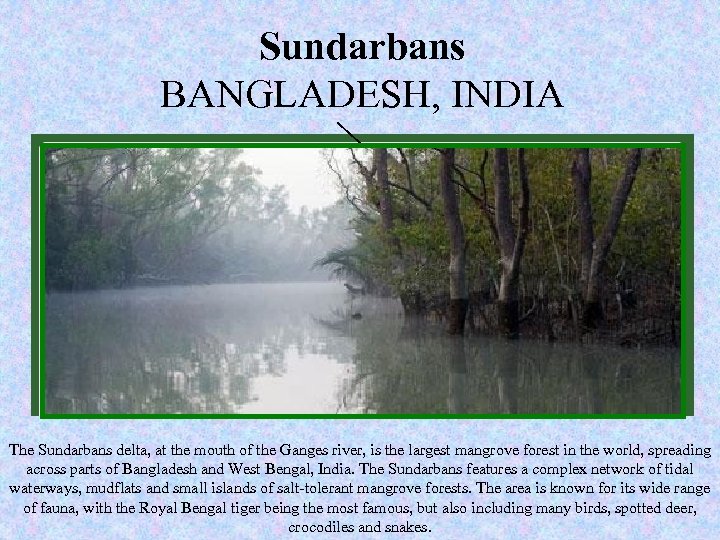 New Sundarbans of Nature seven wonders BANGLADESH, INDIA www. new 7 wonders. com The