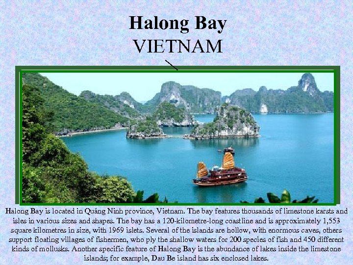 New Halong Bay of seven wonders VIETNAM www. new 7 wonders. com Nature Halong