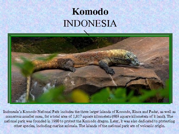 New Komodo of seven wonders INDONESIA www. new 7 wonders. com Nature Indonesia’s Komodo