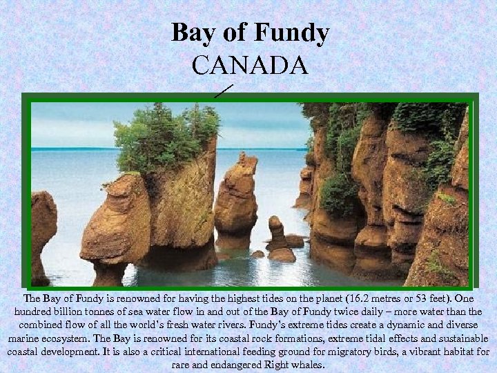 New Bay of Fundy seven wonders of CANADA www. new 7 wonders. com Nature