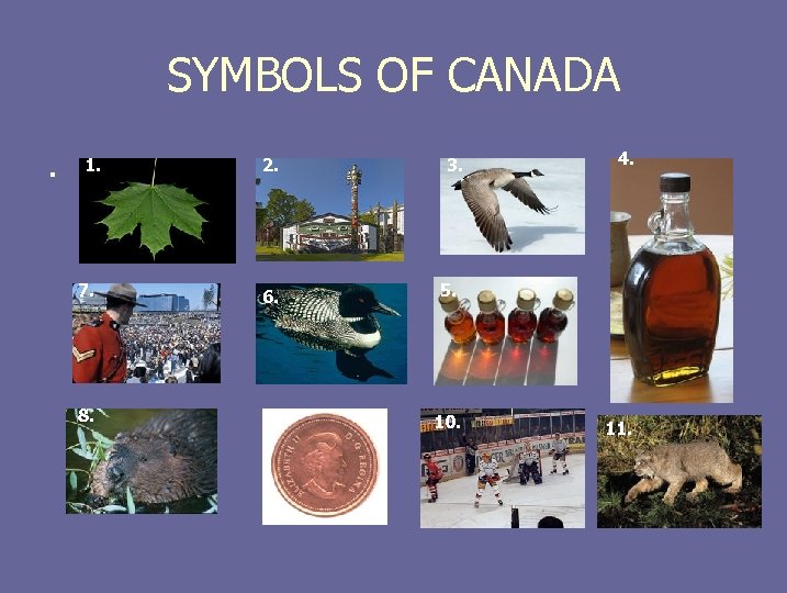 SYMBOLS OF CANADA. 1. 2. 3. 7. 6. 5. 8. 9. 10. 4. 11.