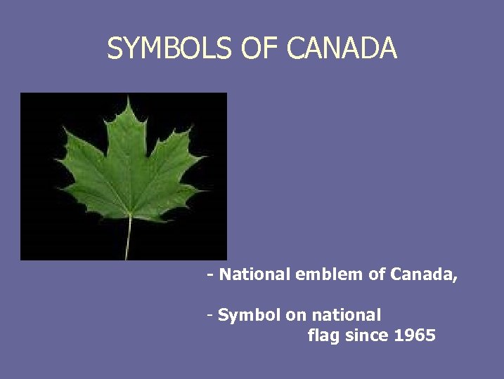 SYMBOLS OF CANADA. - National emblem of Canada, - Symbol on national flag since