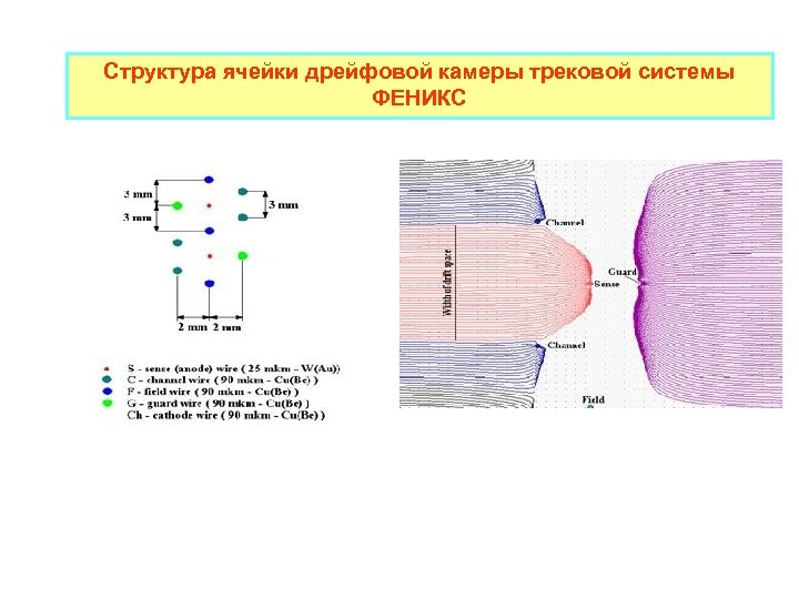 Структура ячейки дрейфовой камеры трековой системы ФЕНИКС 