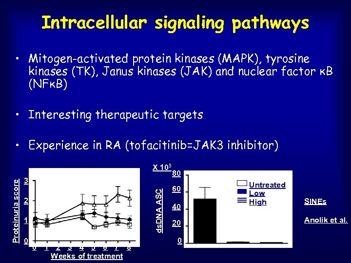 Intracellular signaling pathways • Mitogen-activated protein kinases (MAPK), tyrosine kinases (TK), Janus kinases (JAK)