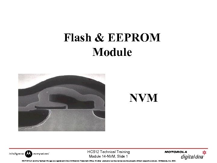 Flash & EEPROM Module NVM HCS 12 Technical Training Module 14 -NVM, Slide 1