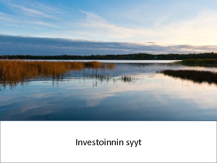 Dealer Management Meeting Finland‘ 13 Investoinnin syyt 