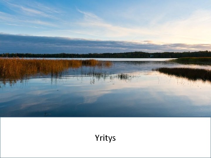 Dealer Management Meeting Finland‘ 13 Yritys 