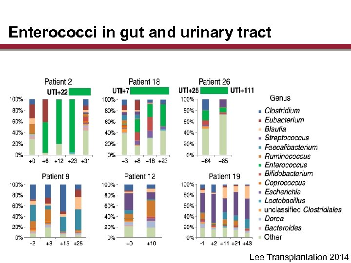Enterococci in gut and urinary tract Lee Transplantation 2014 