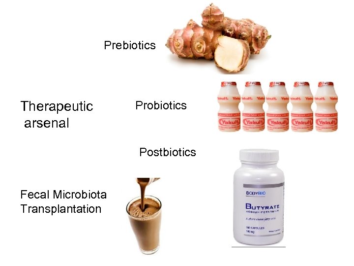 Prebiotics Therapeutic arsenal Probiotics Postbiotics Fecal Microbiota Transplantation 