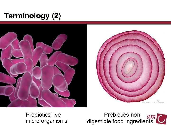 Terminology (2) Probiotics live micro organisms Prebiotics non digestible food ingredients 