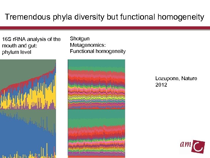 Tremendous phyla diversity but functional homogeneity 16 S r. RNA analysis of the mouth