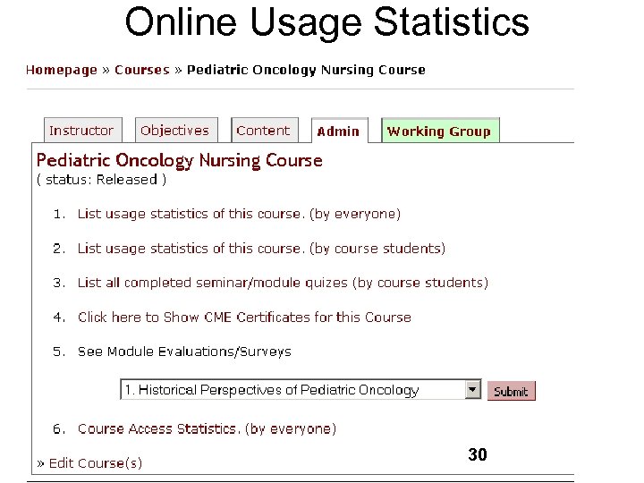 Online Usage Statistics 30 