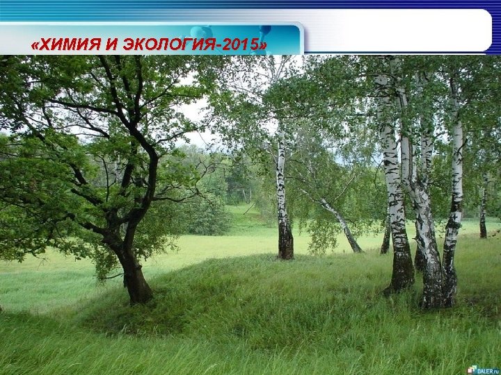  «ХИМИЯ И ЭКОЛОГИЯ-2015» 