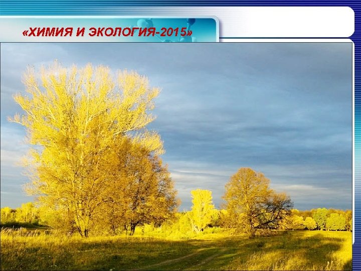  «ХИМИЯ И ЭКОЛОГИЯ-2015» 