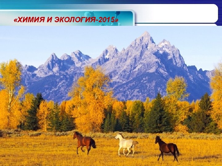  «ХИМИЯ И ЭКОЛОГИЯ-2015» 