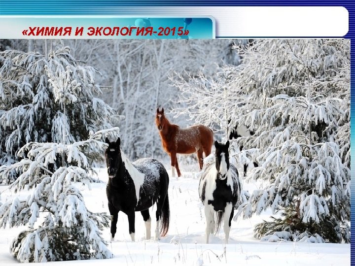  «ХИМИЯ И ЭКОЛОГИЯ-2015» 