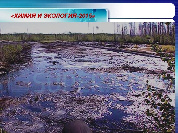  «ХИМИЯ И ЭКОЛОГИЯ-2015» 