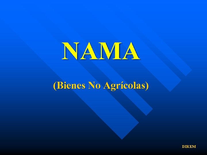 NAMA (Bienes No Agrícolas) DIREM 