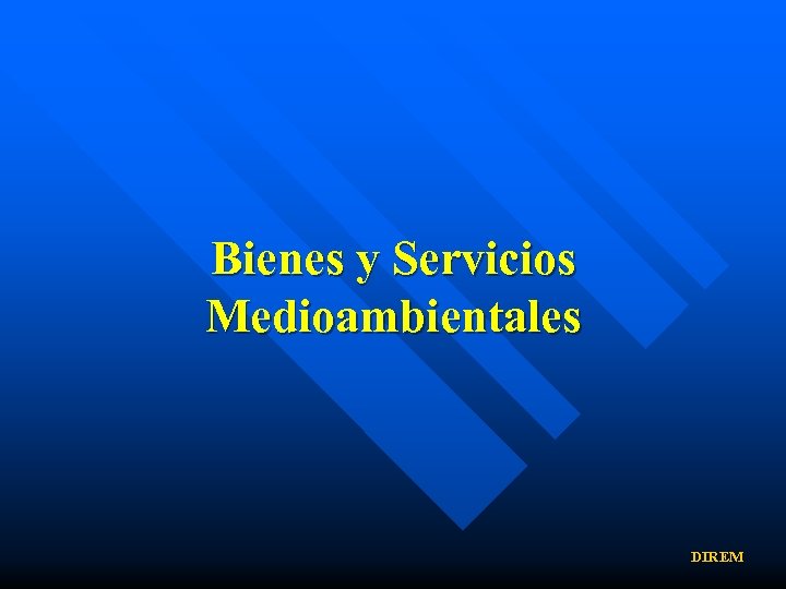 Bienes y Servicios Medioambientales DIREM 