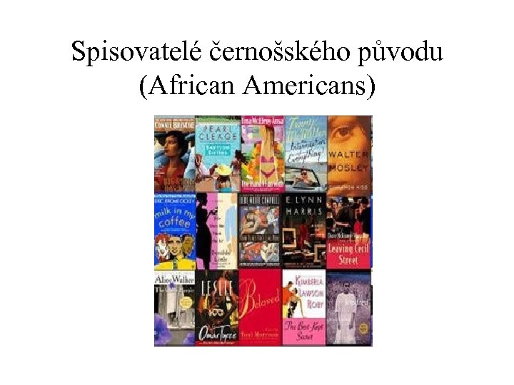 Spisovatelé černošského původu (African Americans) 