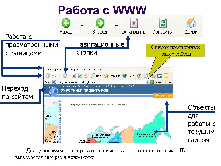 Работа с WWW Работа с просмотренными страницами Навигационные кнопки Список посещенных ранее сайтов Переход