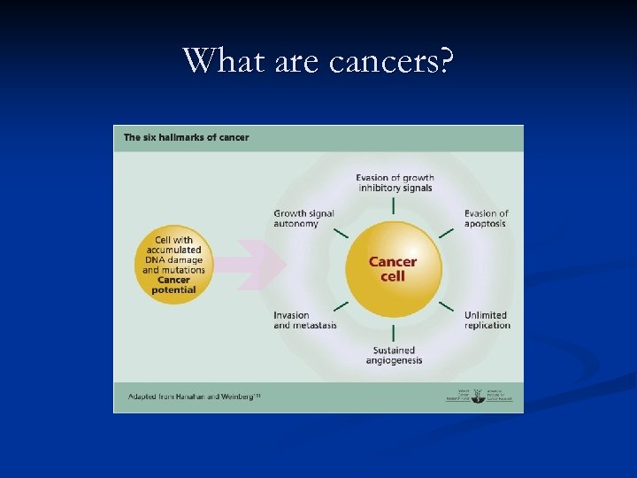 What are cancers? 