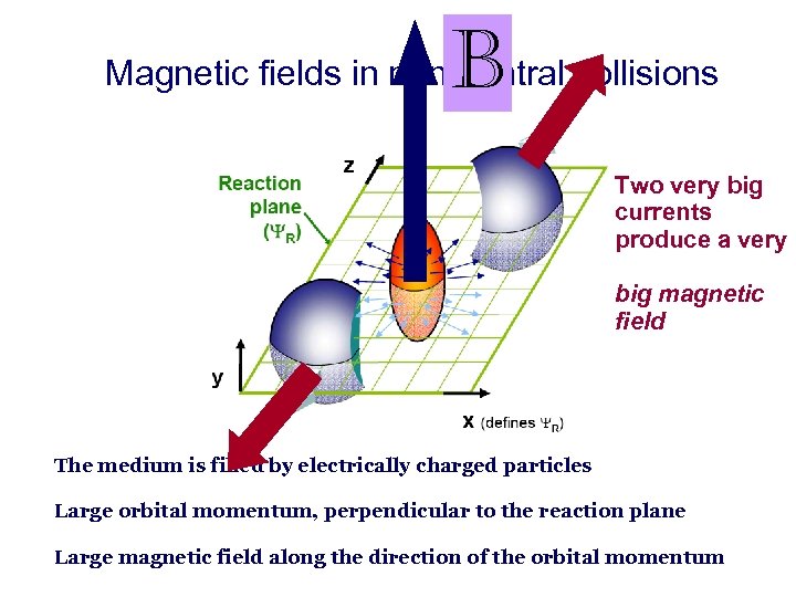 B Magnetic fields in non-central collisions Two very big currents produce a very big