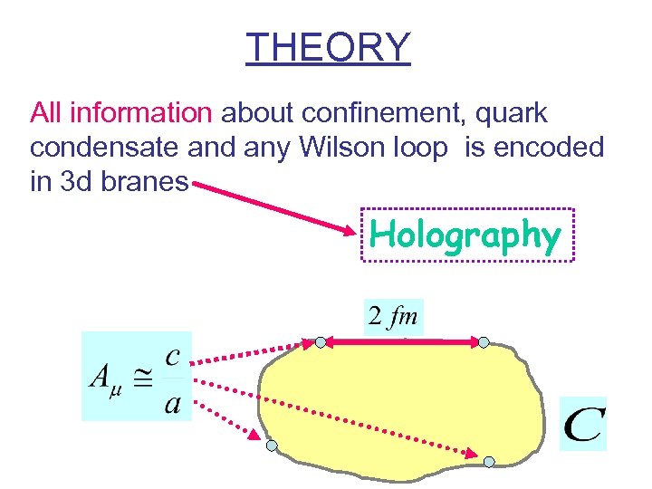 THEORY All information about confinement, quark condensate and any Wilson loop is encoded in
