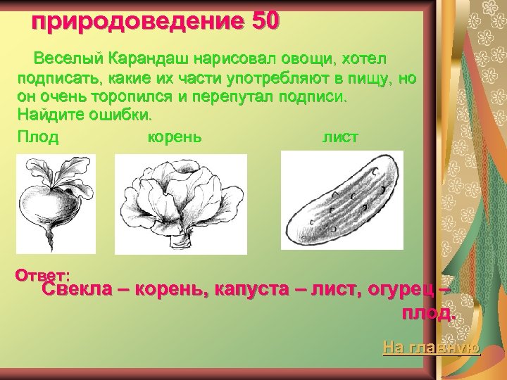 природоведение 50 Веселый Карандаш нарисовал овощи, хотел подписать, какие их части употребляют в пищу,