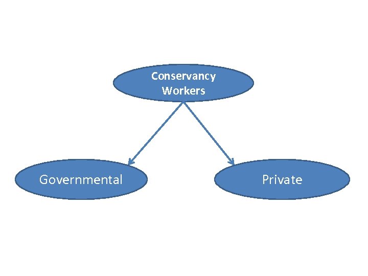 Conservancy Workers Governmental Private 