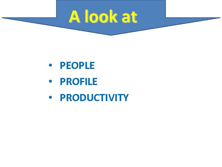 A look at • PEOPLE • PROFILE • PRODUCTIVITY 
