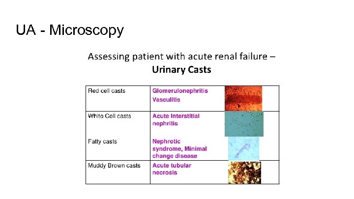 UA - Microscopy 