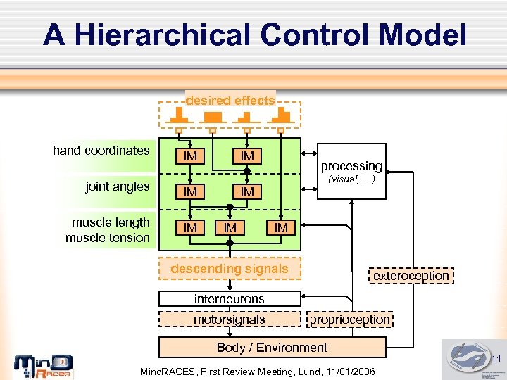 A Hierarchical Control Model desired effects hand coordinates IM IM processing (visual, …) joint