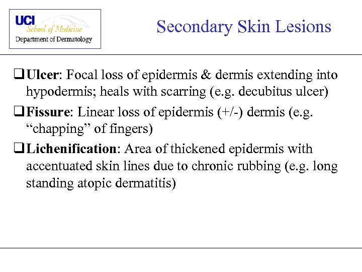 Secondary Skin Lesions q Ulcer: Focal loss of epidermis & dermis extending into hypodermis;