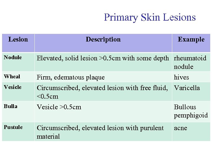 Primary Skin Lesions Lesion Nodule Wheal Vesicle Bulla Pustule Description Example Elevated, solid lesion