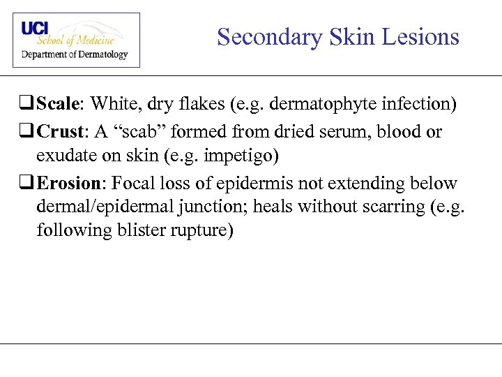 Secondary Skin Lesions q Scale: White, dry flakes (e. g. dermatophyte infection) q Crust: