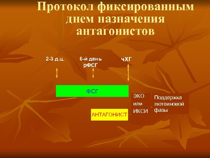 Протокол фиксированным днем назначения антагонистов 2 -3 д. ц. 6 -й день р. ФСГ