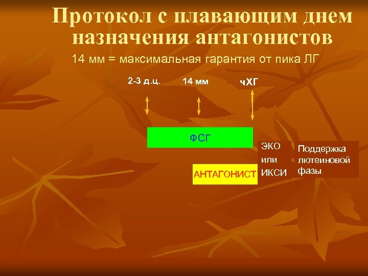 Протокол с плавающим днем назначения антагонистов 14 мм = максимальная гарантия от пика ЛГ