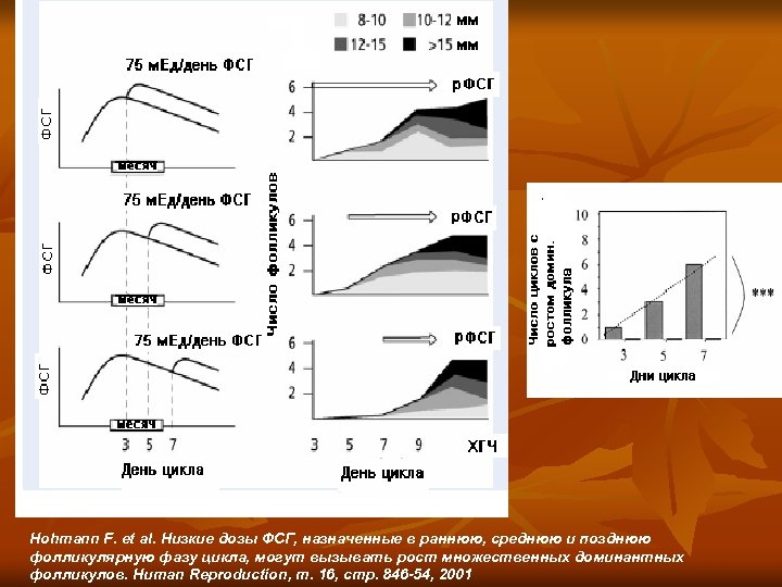 Hohmann F. et al. Низкие дозы ФСГ, назначенные в раннюю, среднюю и позднюю фолликулярную