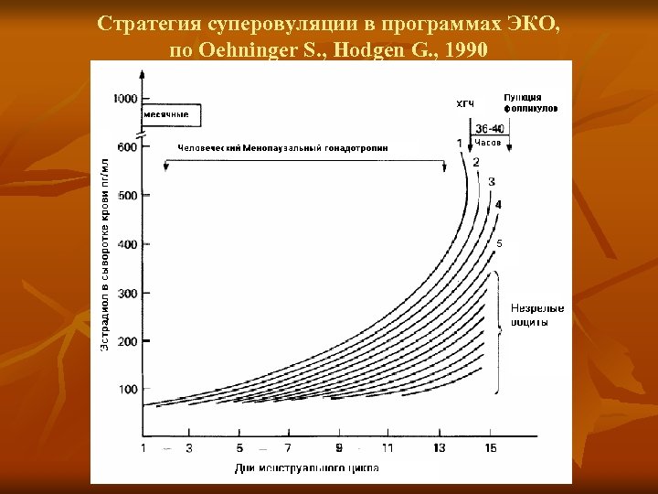 Стратегия суперовуляции в программах ЭКО, по Oehninger S. , Hodgen G. , 1990 