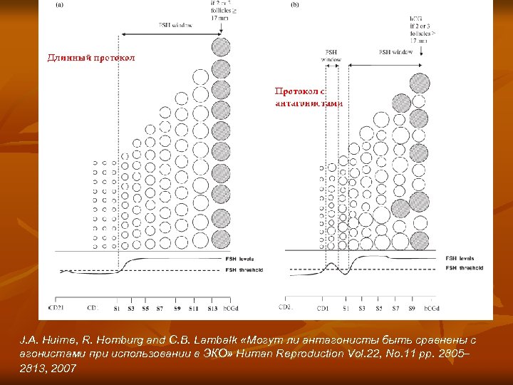 J. A. Huirne, R. Homburg and C. B. Lambalk «Могут ли антагонисты быть сравнены