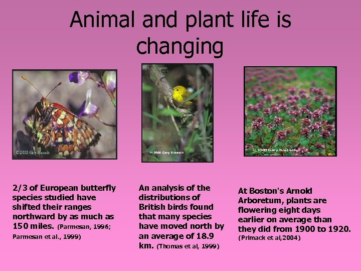 Animal and plant life is changing 2/3 of European butterfly species studied have shifted