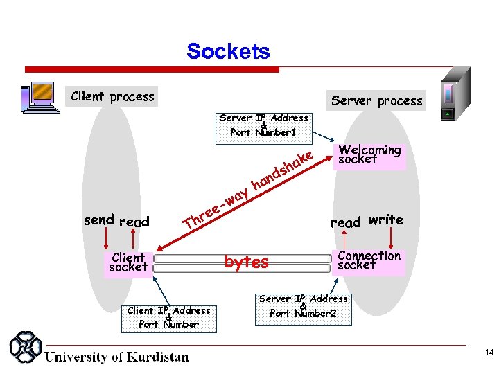 Sockets Client process Server IP Address & Port Number 1 n h ds send