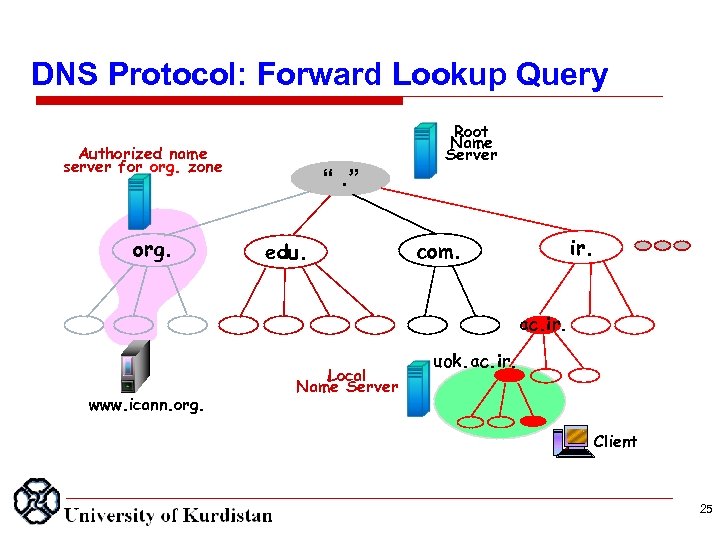 DNS Protocol: Forward Lookup Query IP Address of www. icann. org is 142. 12.