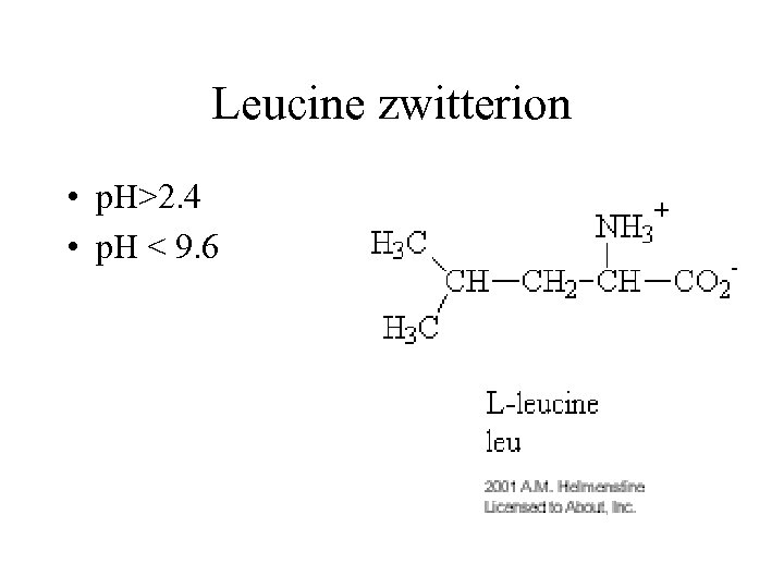 Leucine zwitterion • p. H>2. 4 • p. H < 9. 6 